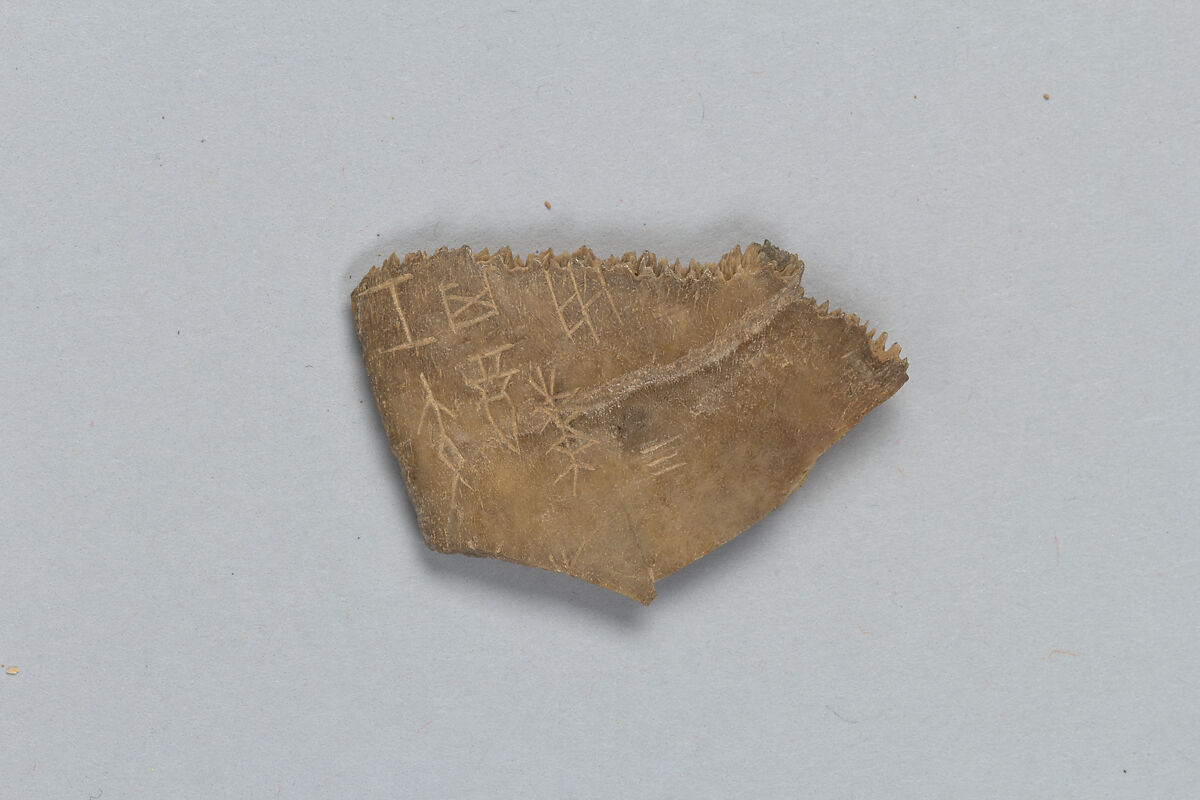 Oracle bone fragment, Inscribed bone, China 