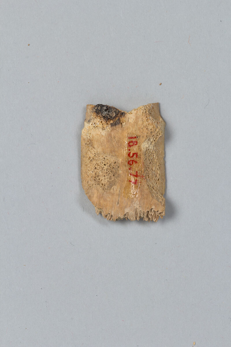 Oracle bone fragment, Inscribed bone, China