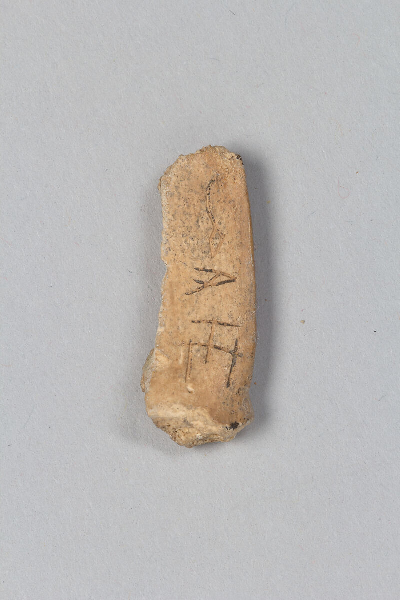 Oracle bone fragment, Inscribed bone, China 