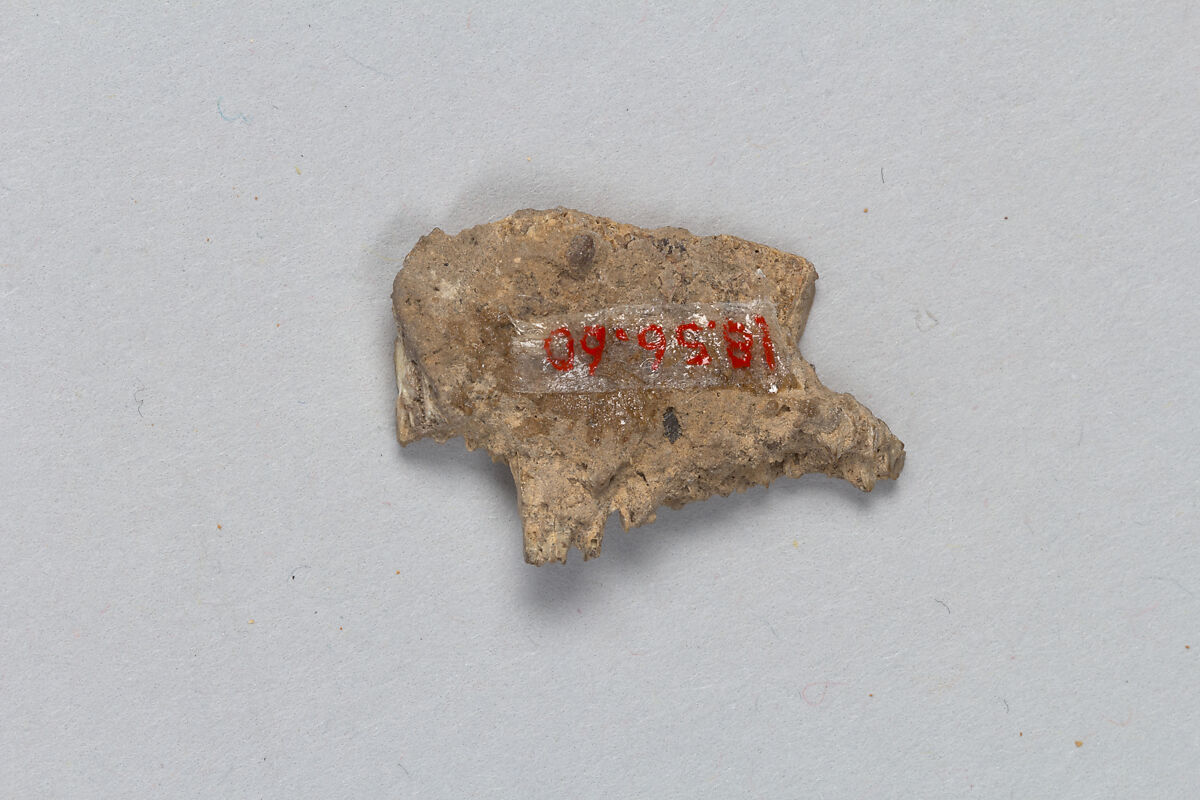Oracle bone fragment, Inscribed bone, China