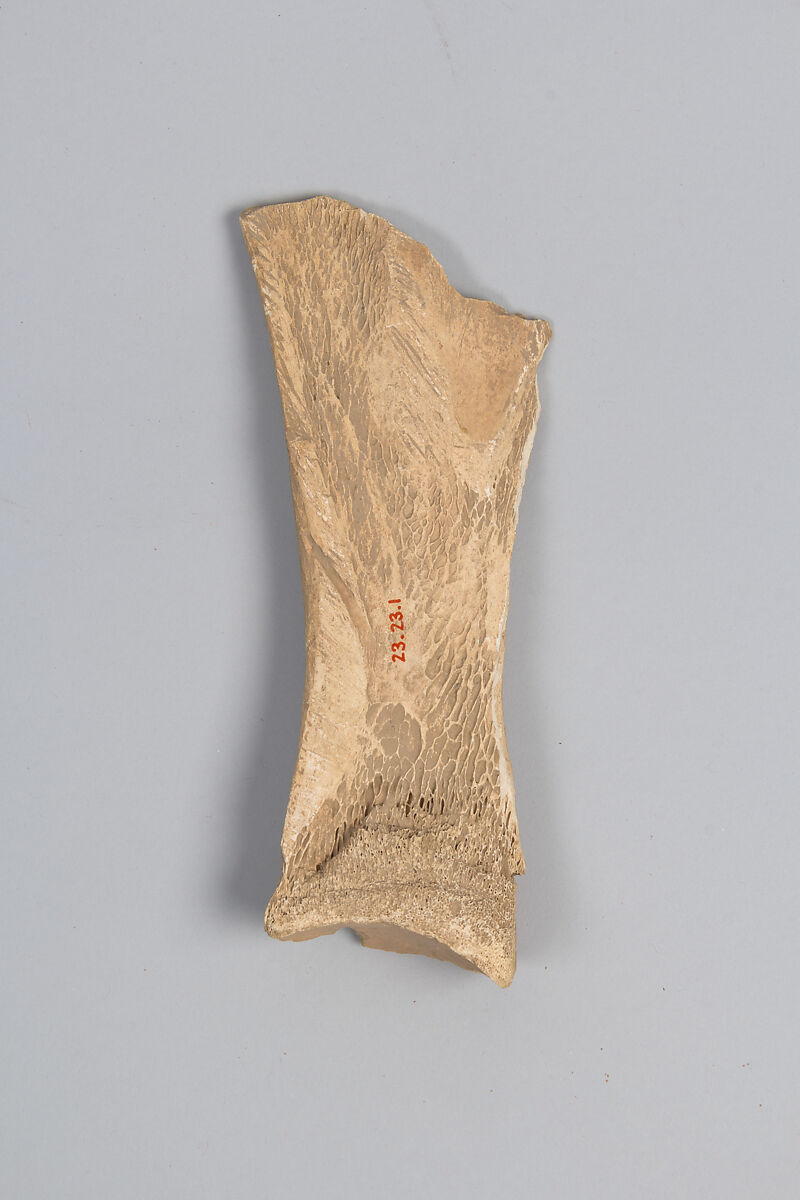 Oracle bone fragment, Inscribed bone, China