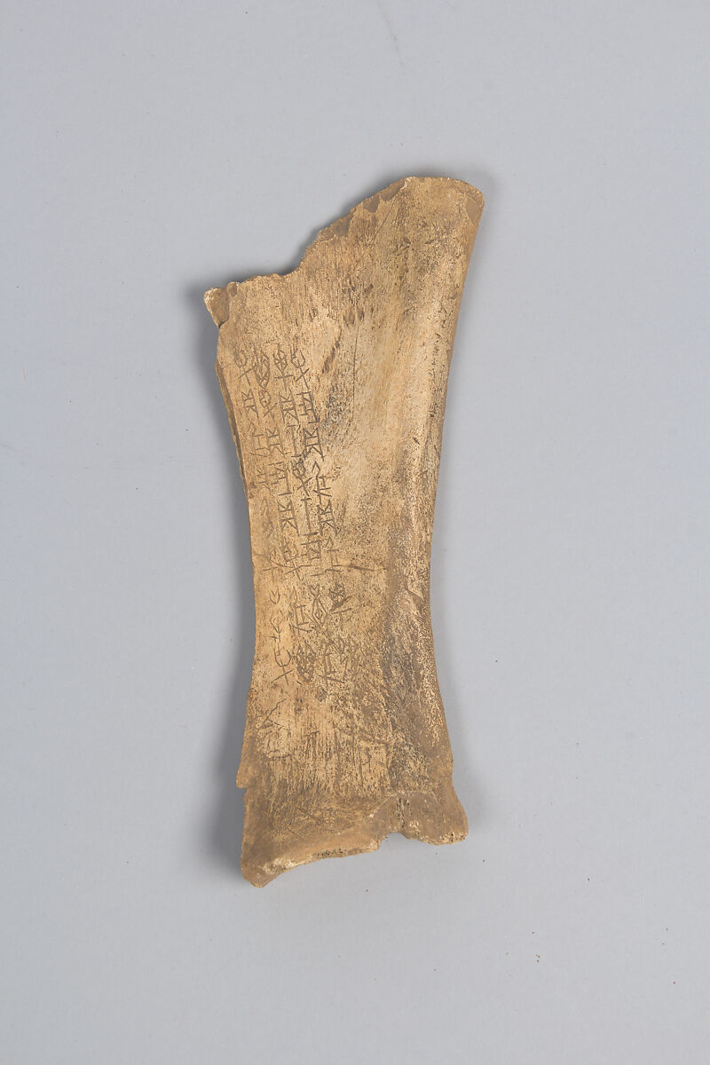 Oracle bone fragment, Inscribed bone, China 