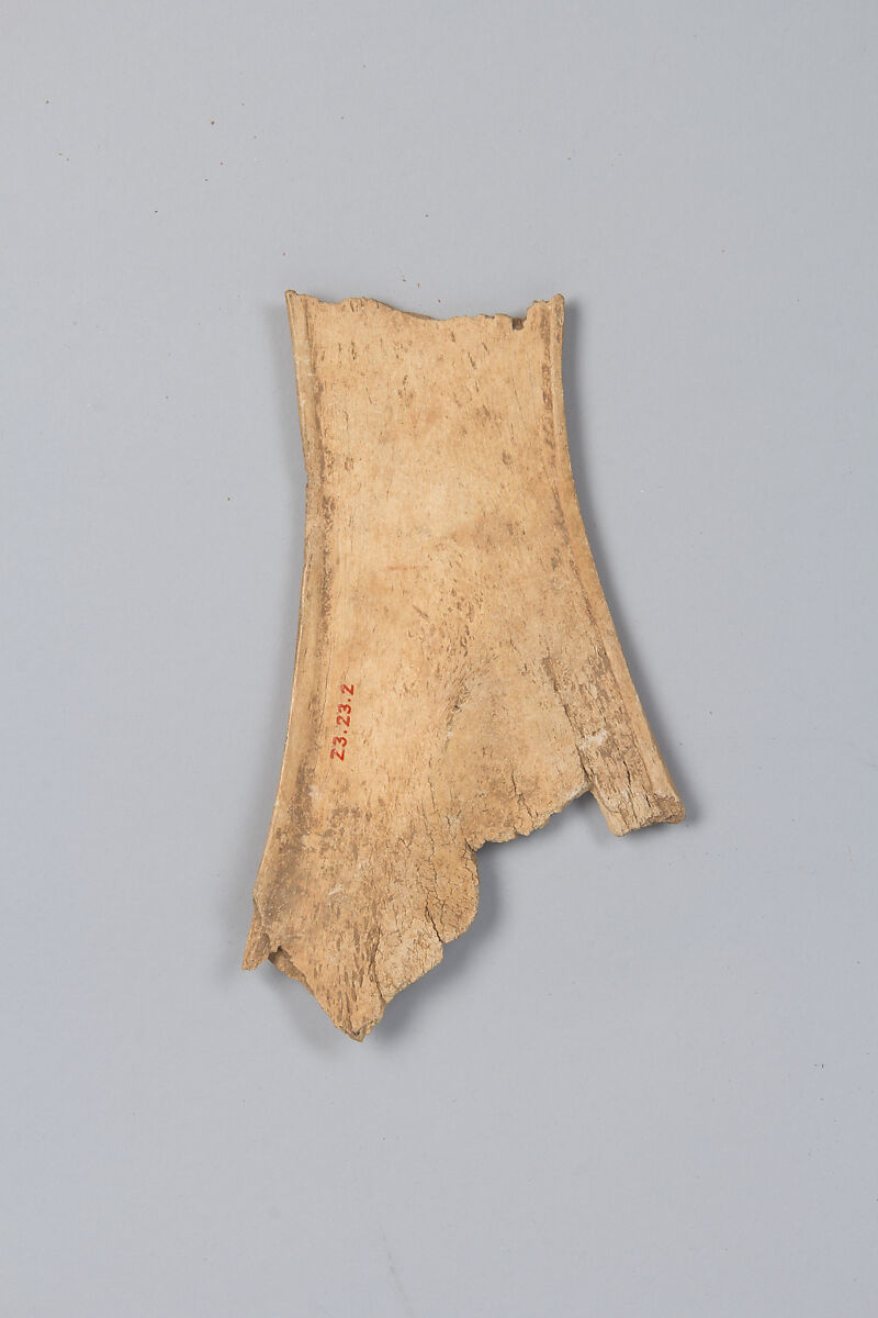 Oracle bone fragment, Inscribed bone, China