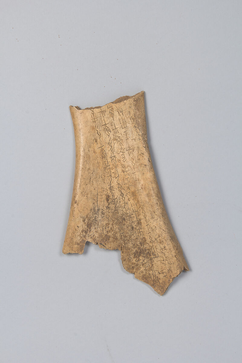 Oracle bone fragment, Inscribed bone, China 