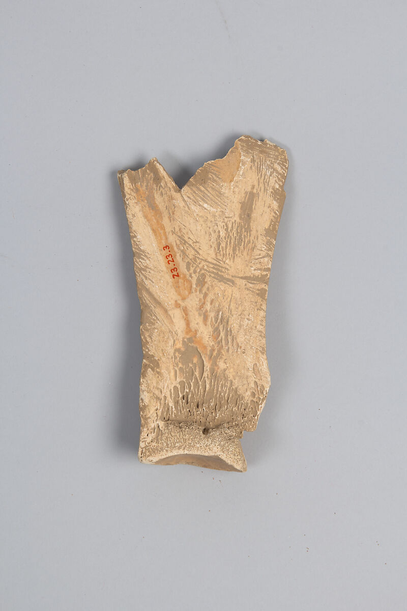 Oracle bone fragment, Inscribed bone, China