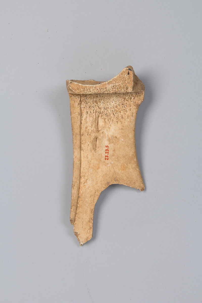 Oracle bone fragment, Inscribed bone, China