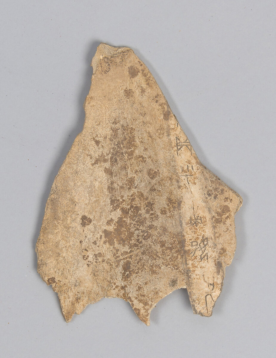 Oracle bone fragment, Inscribed bone, China 