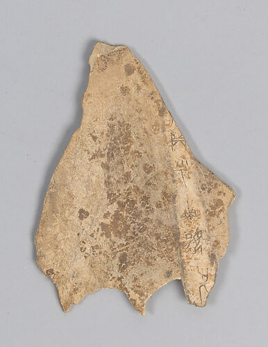 Oracle bone fragment