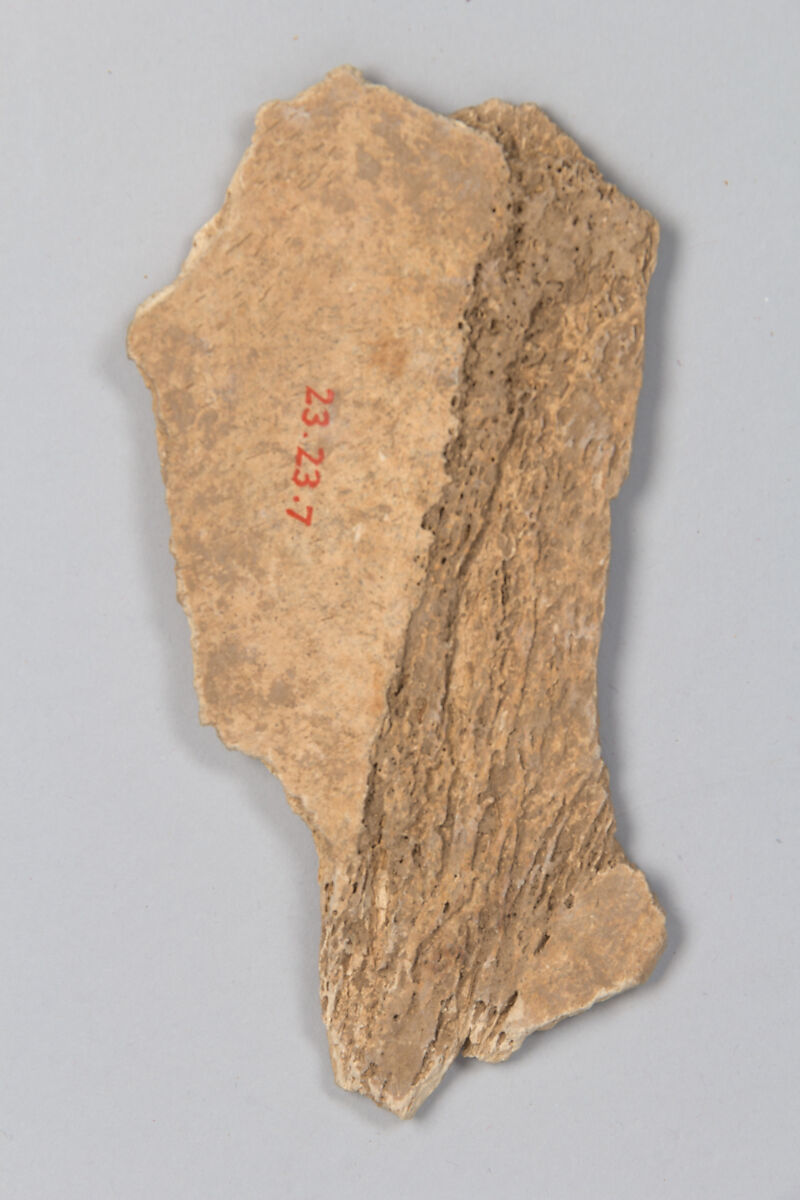 Oracle bone fragment, Inscribed bone, China