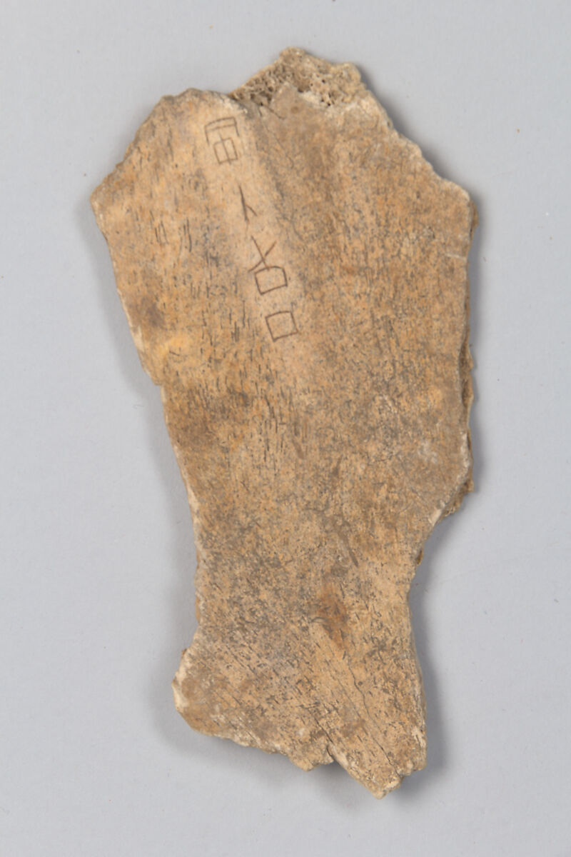 Oracle bone fragment, Inscribed bone, China 