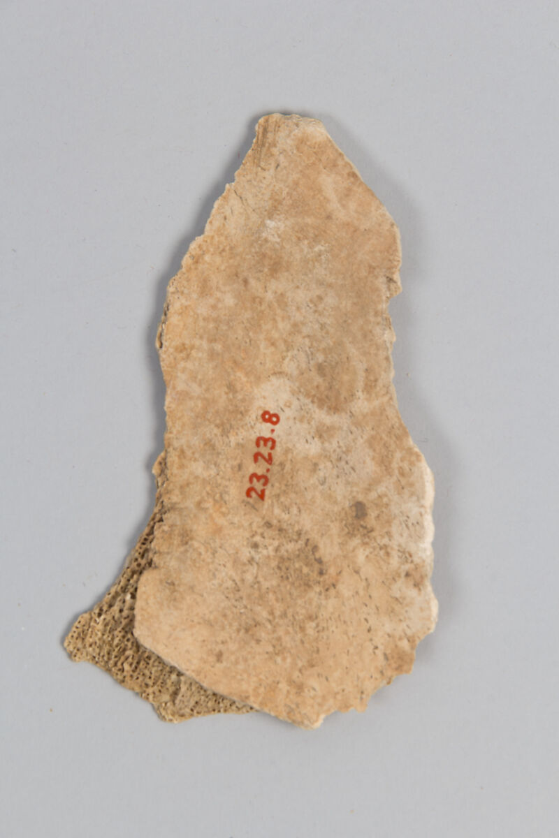 Oracle bone fragment, Bone, China