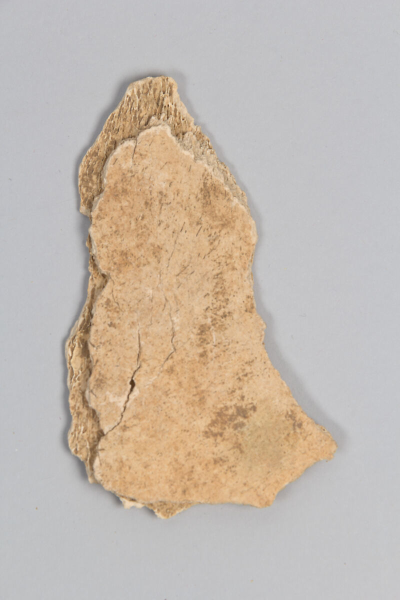 Oracle bone fragment, Bone, China 