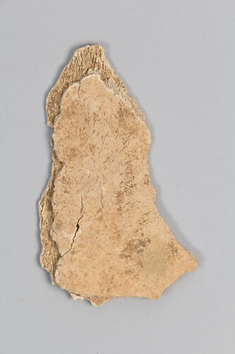 Oracle bone fragment