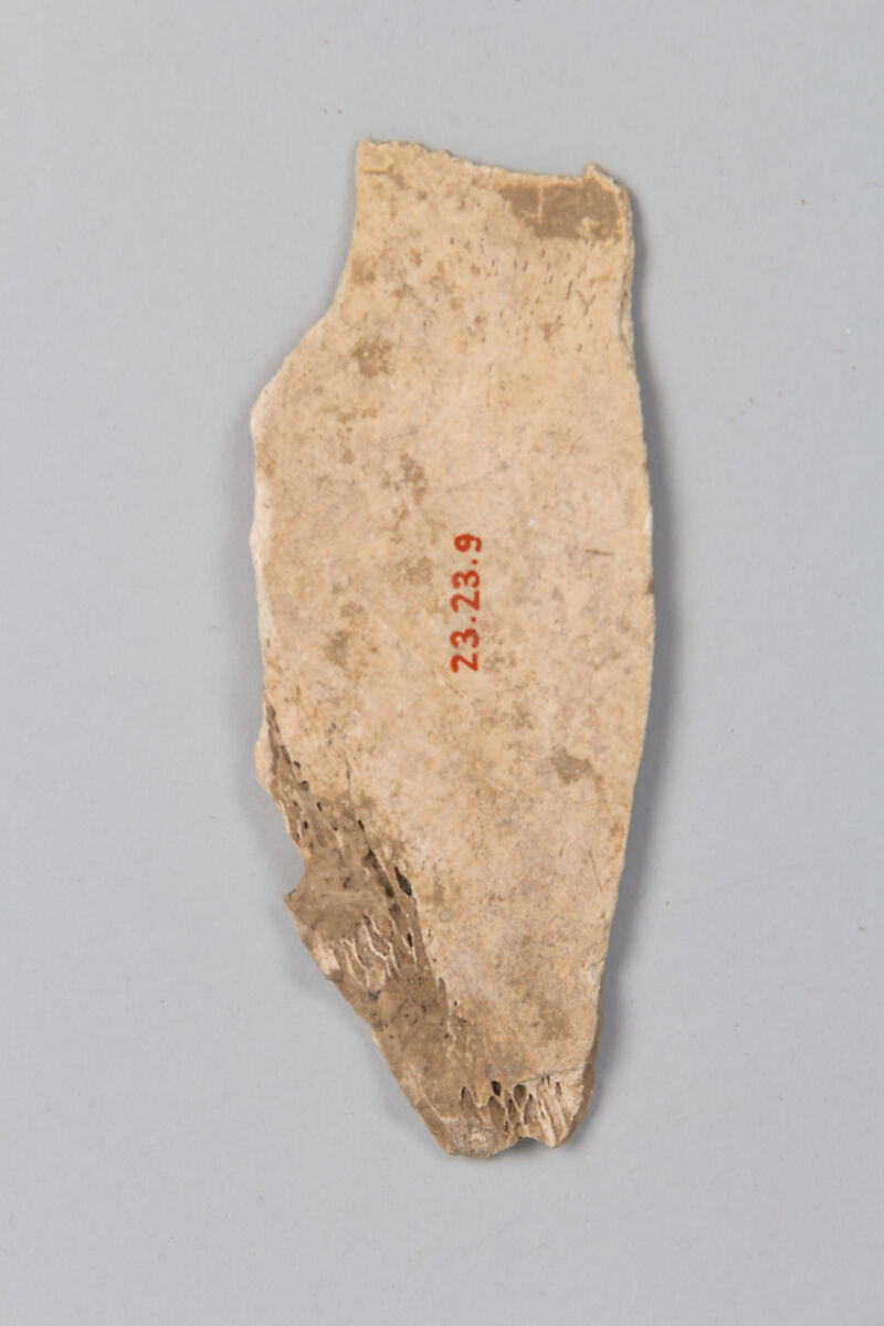 Oracle bone fragment, Inscribed bone, China