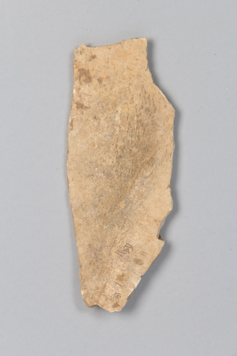 Oracle bone fragment, Inscribed bone, China 