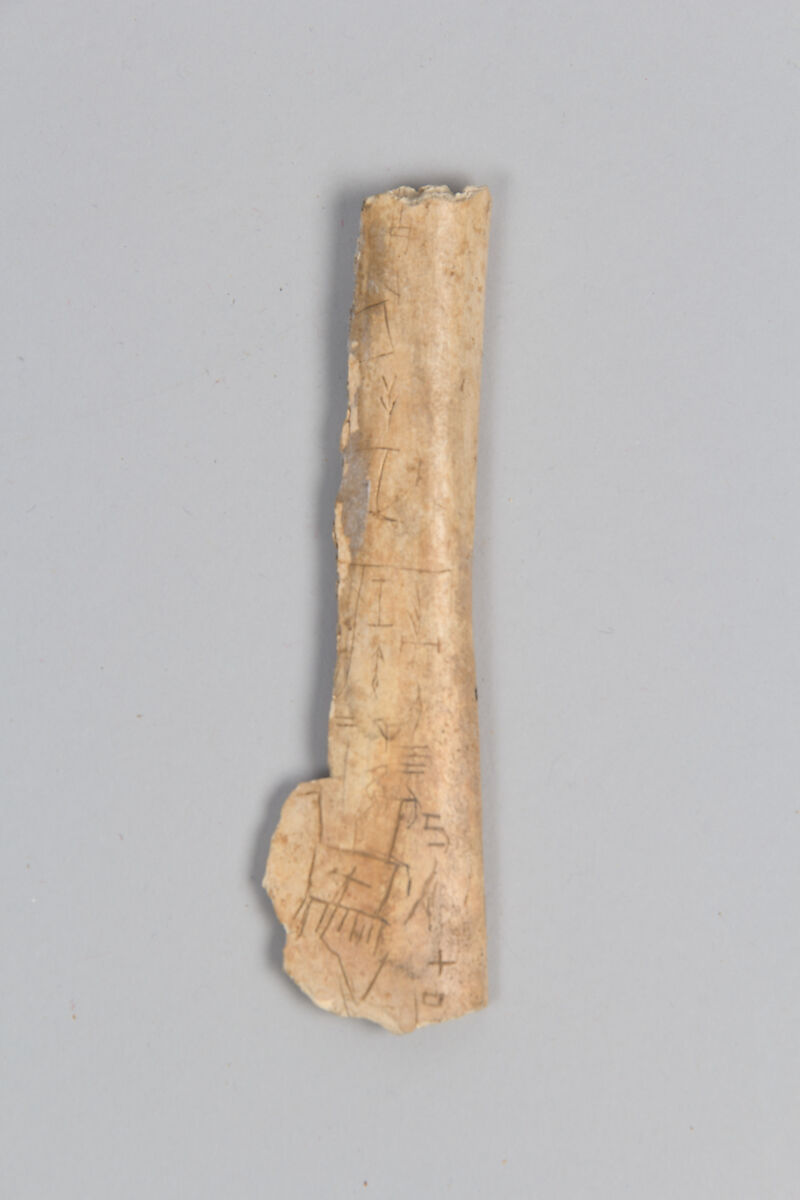 Oracle bone fragment, Inscribed bone, China 