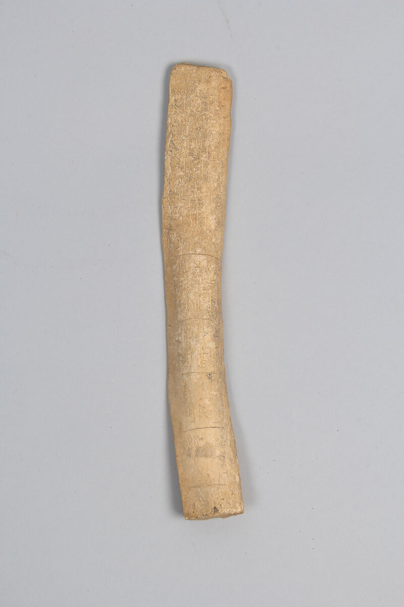 Oracle bone, Inscribed bone, China 