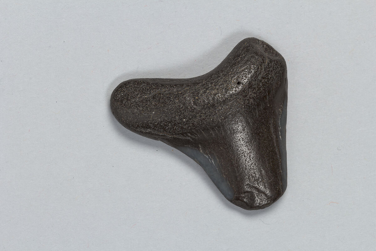 Oracle bone, Fossilized bone, China 