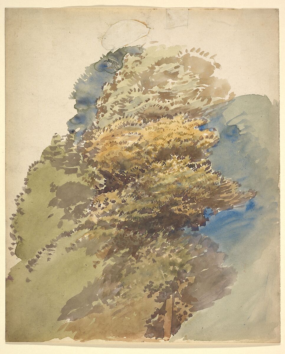 Study of a tree, George Richmond (British, Brompton 1809–1896 London), Watercolor 