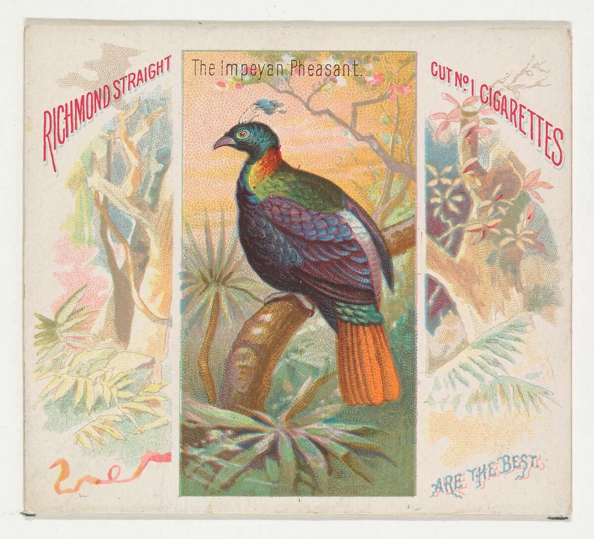 The Impeyan Pheasant, from Birds of the Tropics series (N38) for Allen & Ginter Cigarettes, Issued by Allen &amp; Ginter (American, Richmond, Virginia), Commercial color lithograph 