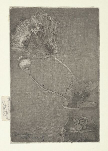 Poppy in a Vase, Théodore Roussel (French, Lorient, Brittany 1847–1926 St. Leonards-on-Sea, Sussex), Softground etching, aquatint and drypoint 