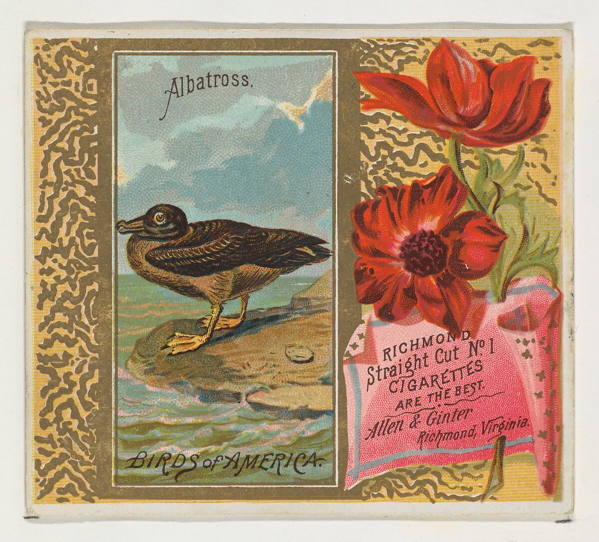 Albatross, from the Birds of America series (N37) for Allen & Ginter Cigarettes, Issued by Allen &amp; Ginter (American, Richmond, Virginia), Commercial color lithograph 