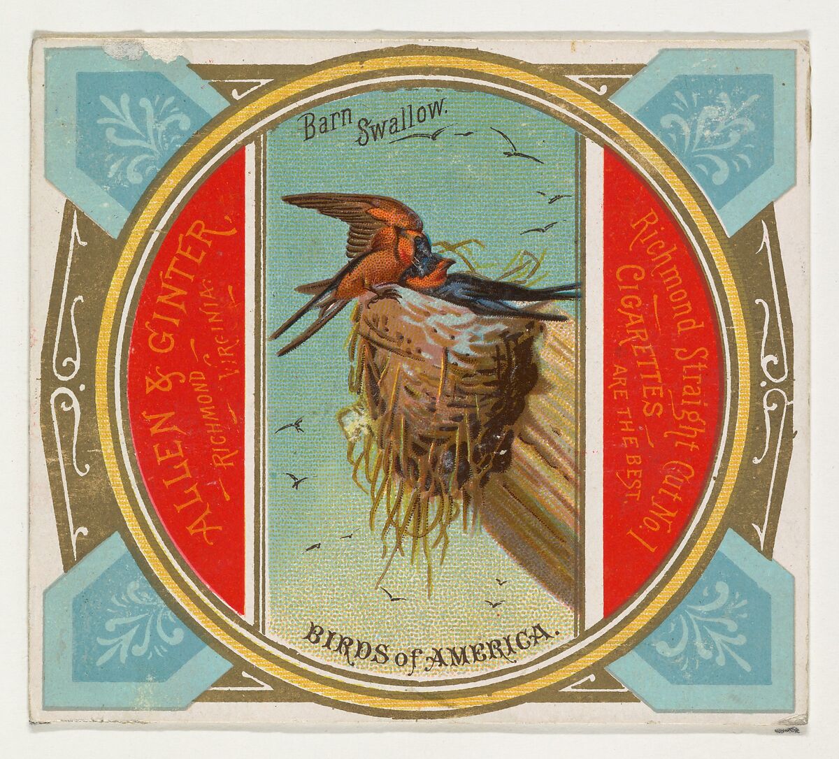 Barn Swallow, from the Birds of America series (N37) for Allen & Ginter Cigarettes, Issued by Allen &amp; Ginter (American, Richmond, Virginia), Commercial color lithograph 