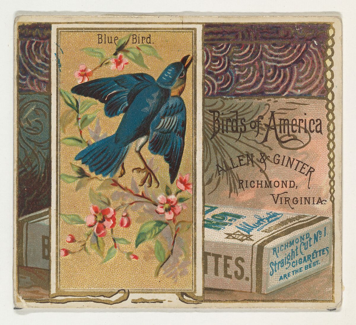 Bluebird, from the Birds of America series (N37) for Allen & Ginter Cigarettes, Issued by Allen &amp; Ginter (American, Richmond, Virginia), Commercial color lithograph 