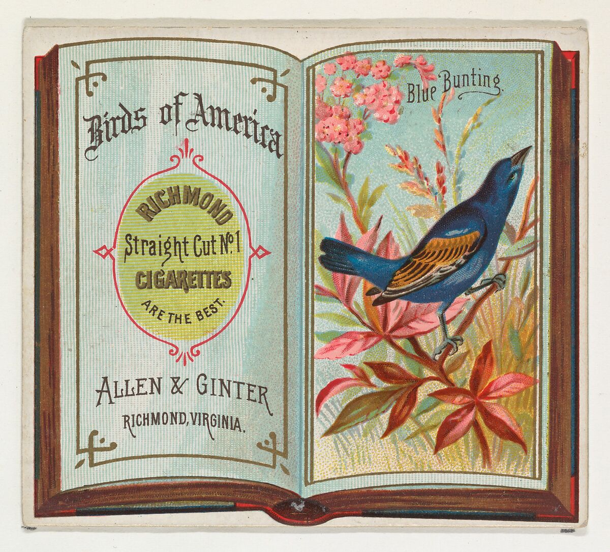 Blue Bunting, from the Birds of America series (N37) for Allen & Ginter Cigarettes, Issued by Allen &amp; Ginter (American, Richmond, Virginia), Commercial color lithograph 