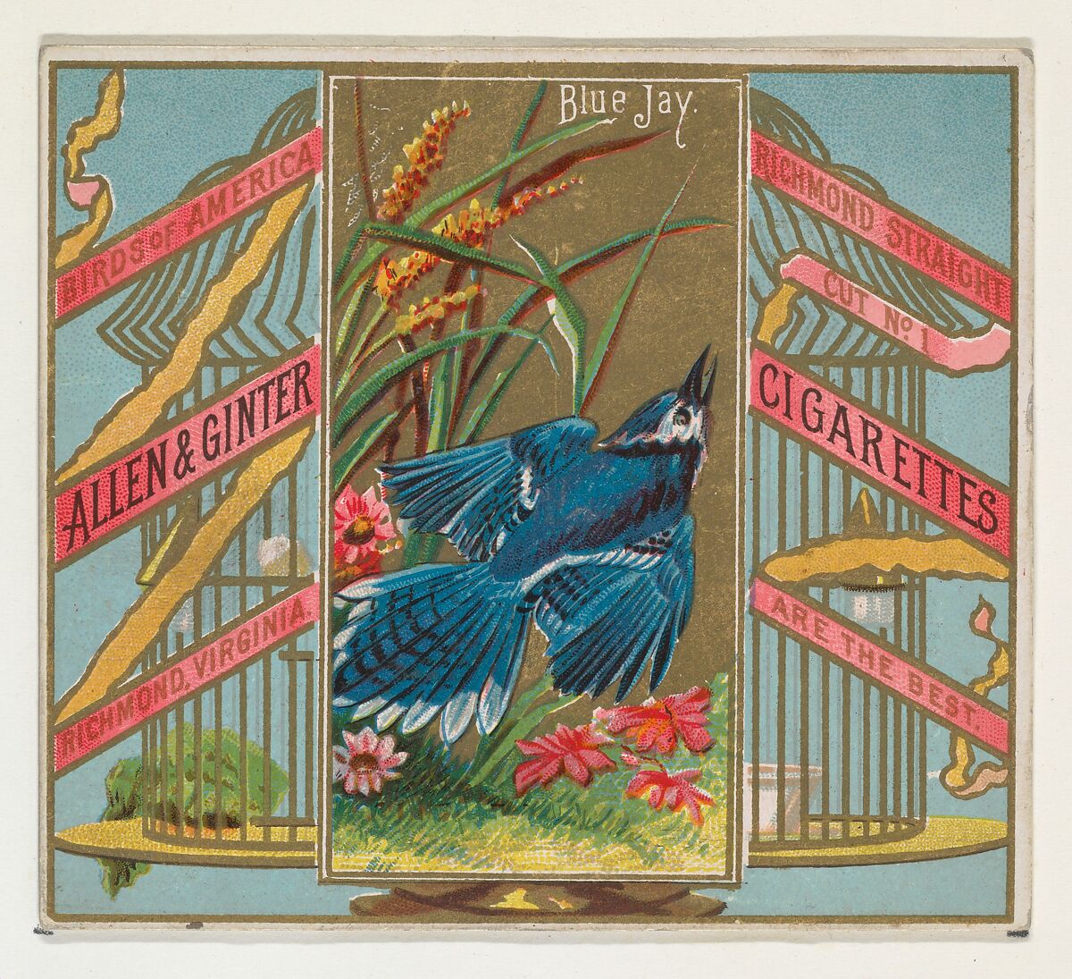 Blue Jay, from the Birds of America series (N37) for Allen & Ginter Cigarettes, Issued by Allen &amp; Ginter (American, Richmond, Virginia), Commercial color lithograph 