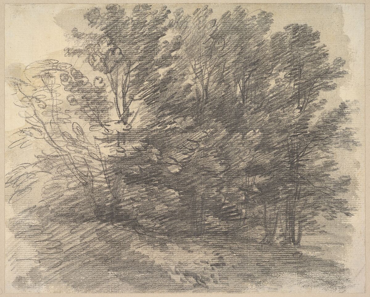 A clump of trees, Thomas Gainsborough (British, Sudbury 1727–1788 London), Graphite, brush and gray wash 