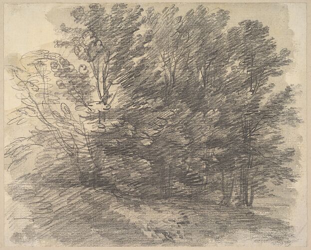 A clump of trees