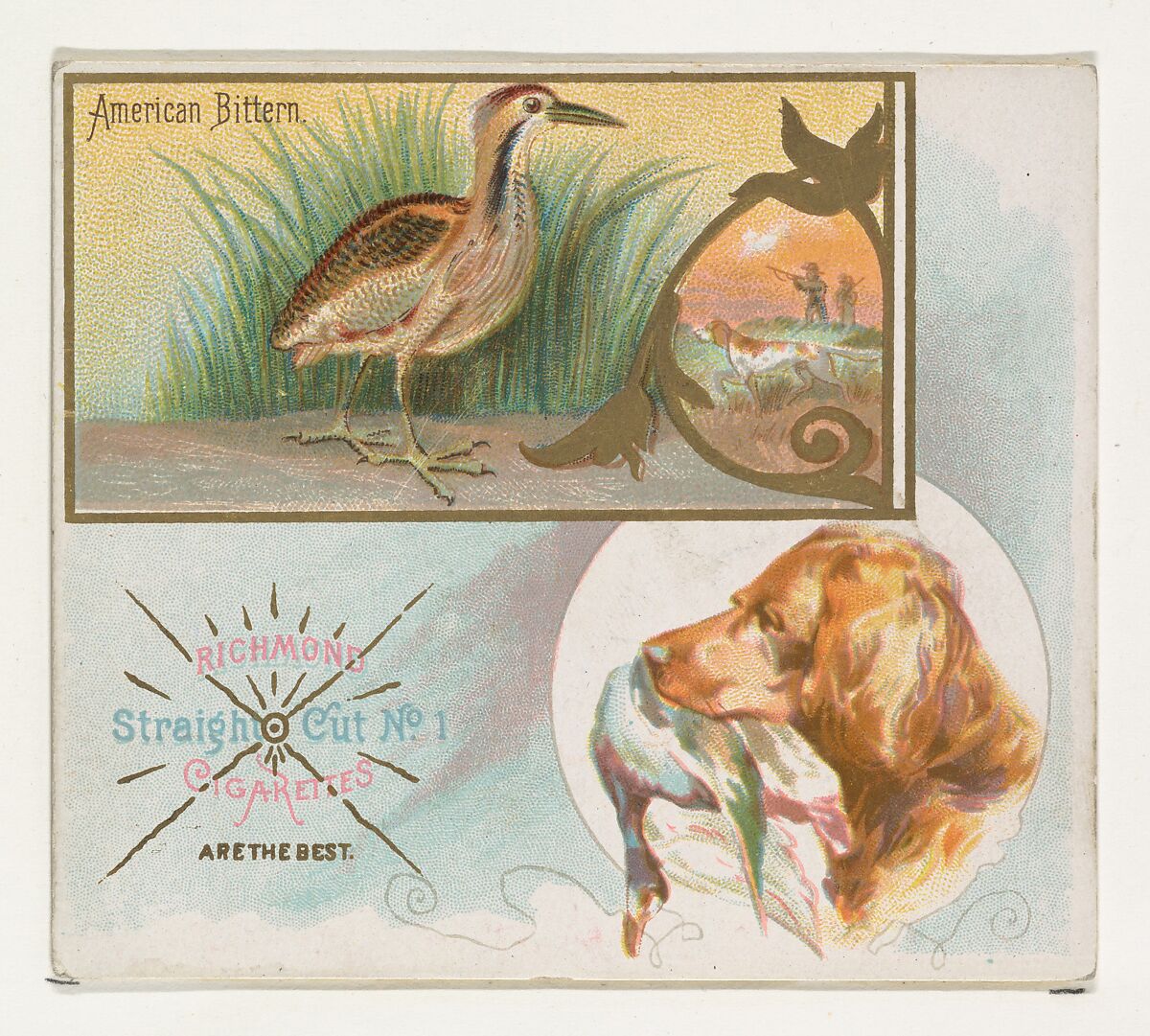 American Bittern, from the Game Birds series (N40) for Allen & Ginter Cigarettes, Issued by Allen &amp; Ginter (American, Richmond, Virginia), Commercial color lithograph 