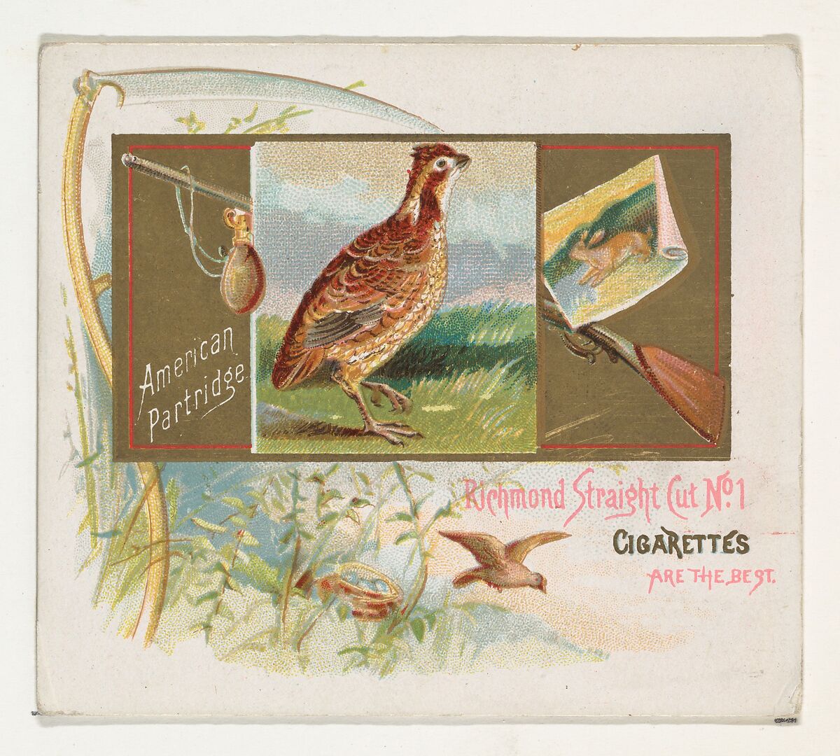 American Partridge, from the Game Birds series (N40) for Allen & Ginter Cigarettes, Issued by Allen &amp; Ginter (American, Richmond, Virginia), Commercial color lithograph 