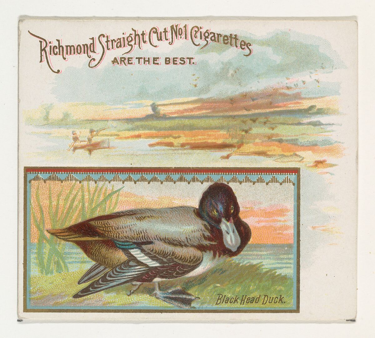 Black Head Duck, from the Game Birds series (N40) for Allen & Ginter Cigarettes, Issued by Allen &amp; Ginter (American, Richmond, Virginia), Commercial color lithograph 