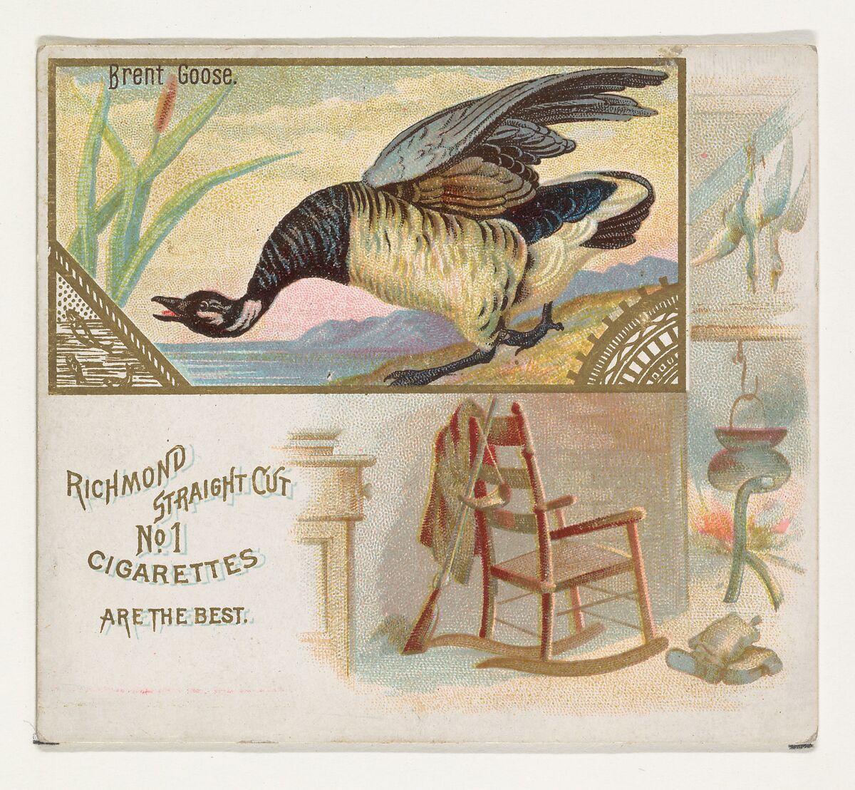 Brent Goose, from the Game Birds series (N40) for Allen & Ginter Cigarettes, Issued by Allen &amp; Ginter (American, Richmond, Virginia), Commercial color lithograph 