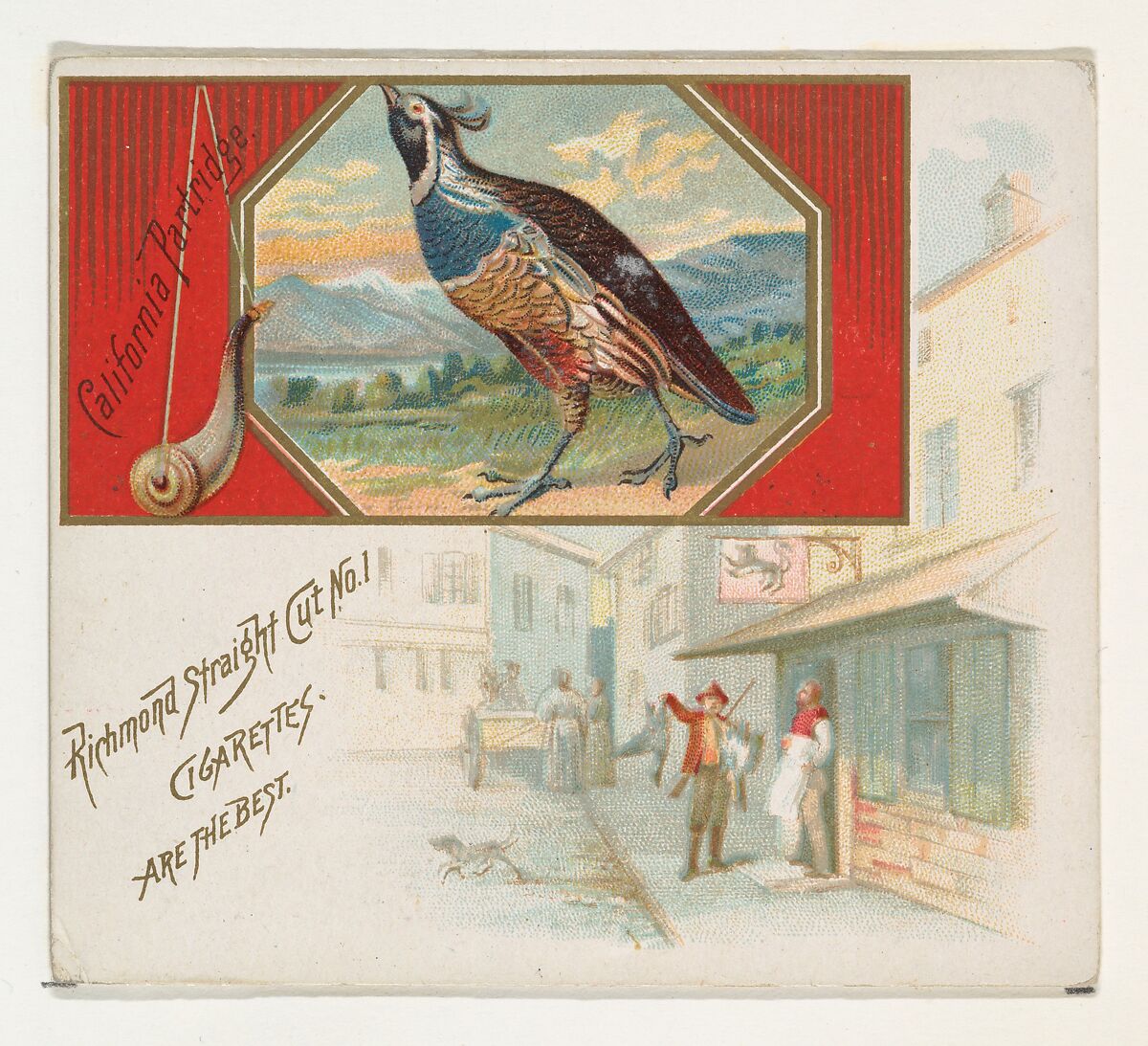 California Partridge, from the Game Birds series (N40) for Allen & Ginter Cigarettes, Issued by Allen &amp; Ginter (American, Richmond, Virginia), Commercial color lithograph 