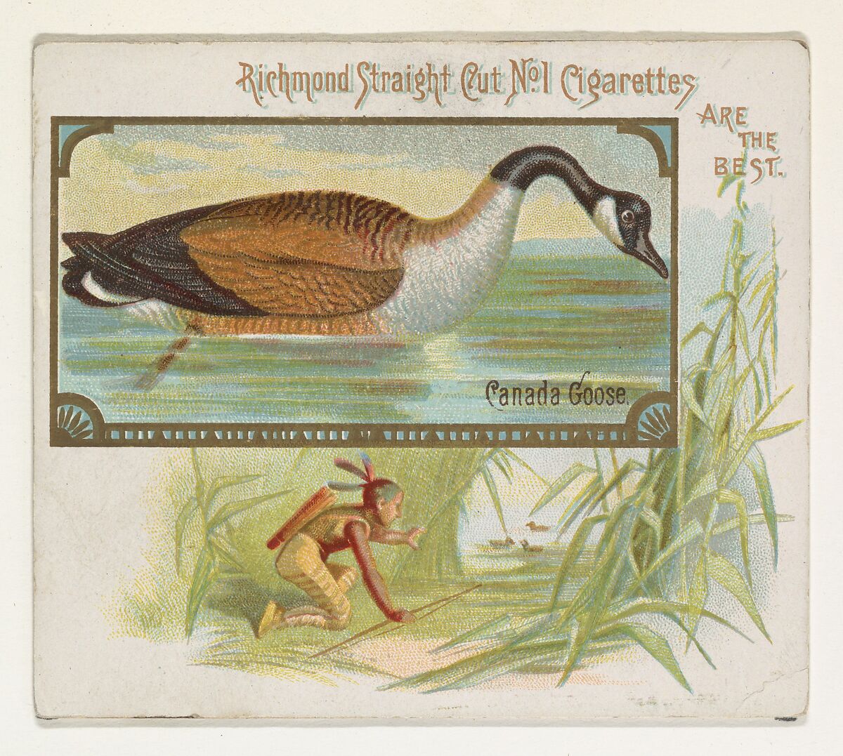 Canada Goose, from the Game Birds series (N40) for Allen & Ginter Cigarettes, Issued by Allen &amp; Ginter (American, Richmond, Virginia), Commercial color lithograph 