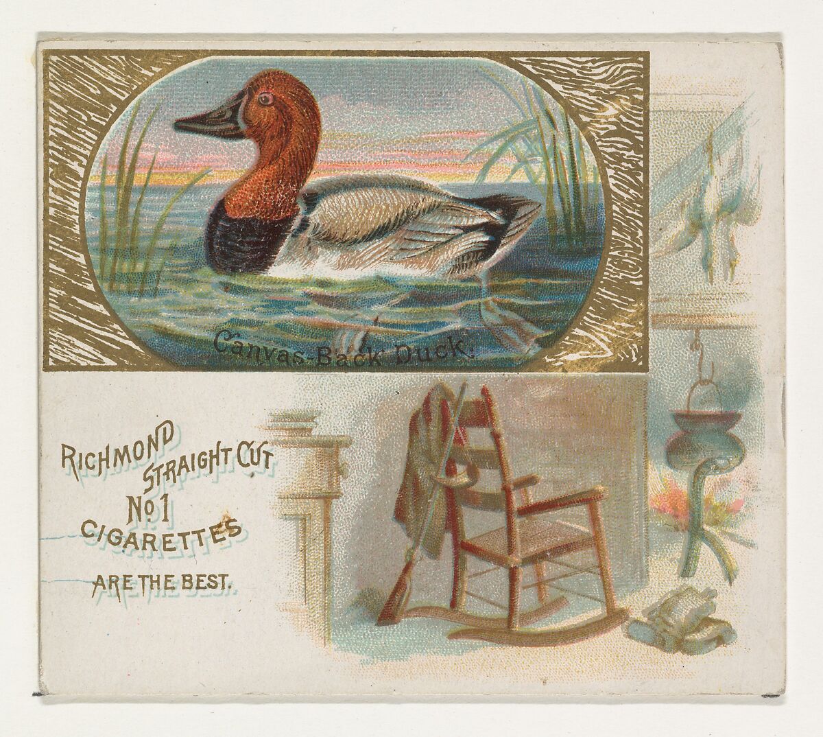 Canvas-Back Duck, from the Game Birds series (N40) for Allen & Ginter Cigarettes, Issued by Allen &amp; Ginter (American, Richmond, Virginia), Commercial color lithograph 