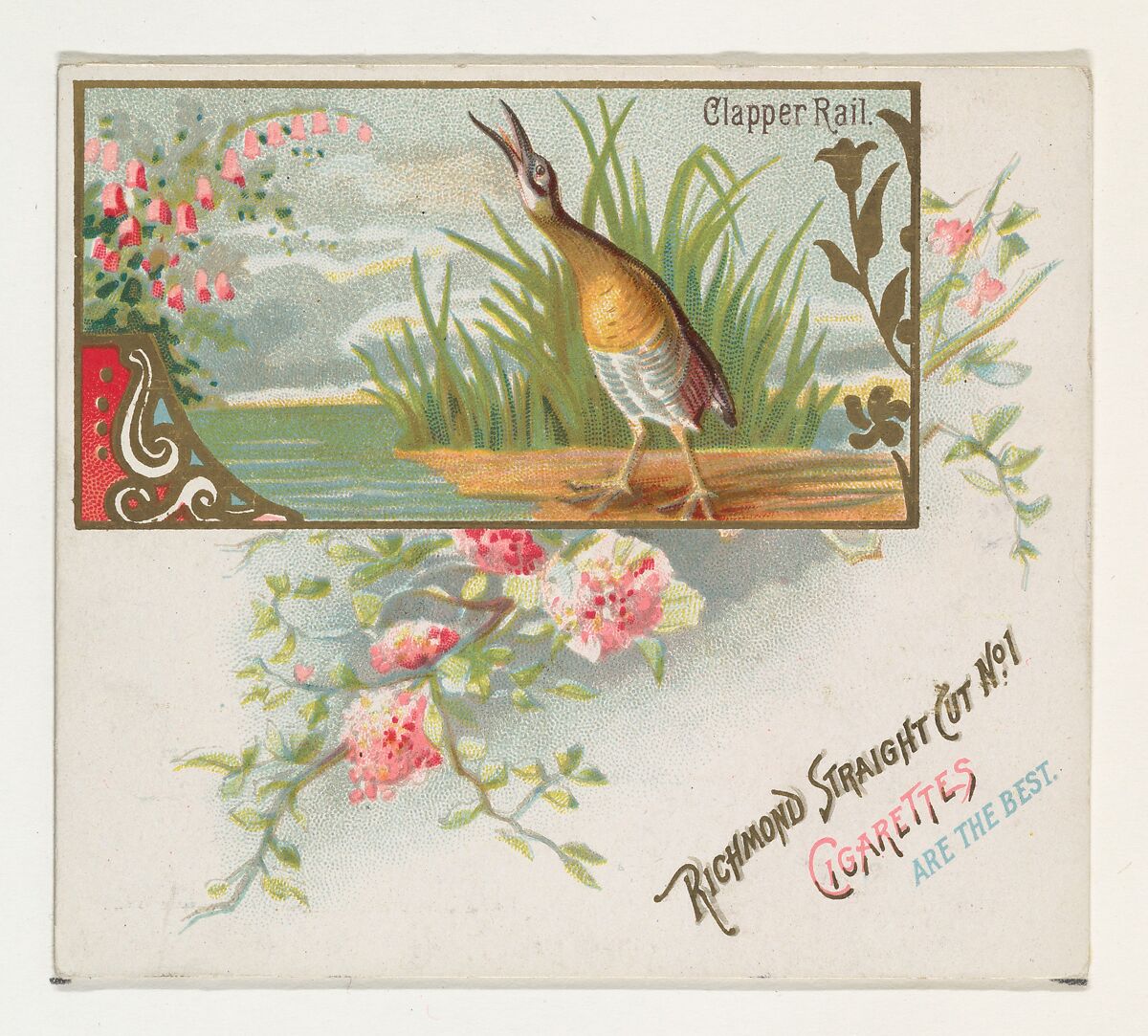 Clapper Rail, from the Game Birds series (N40) for Allen & Ginter Cigarettes, Issued by Allen &amp; Ginter (American, Richmond, Virginia), Commercial color lithograph 