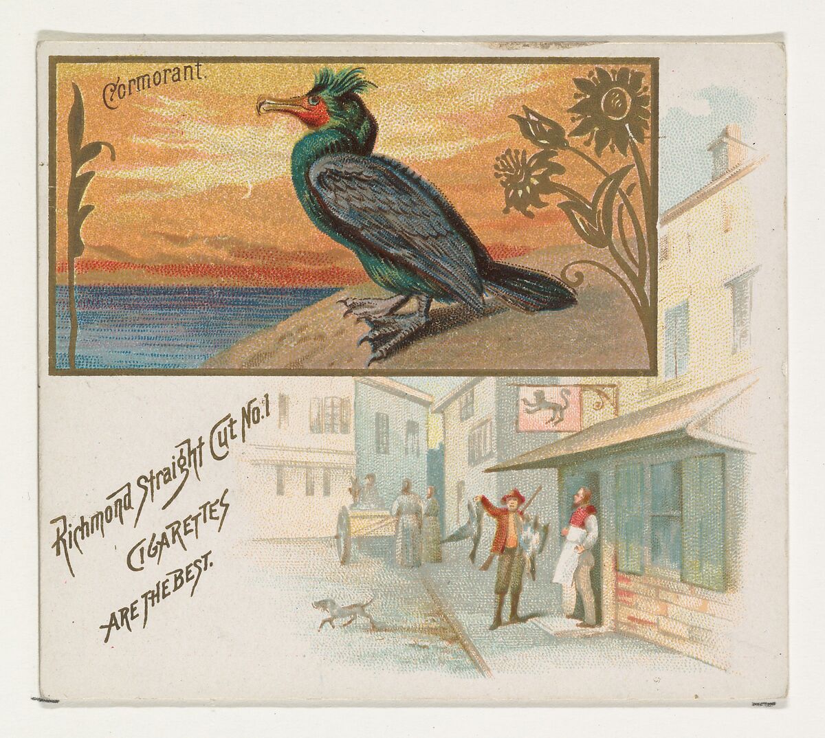 Cormorant, from the Game Birds series (N40) for Allen & Ginter Cigarettes, Issued by Allen &amp; Ginter (American, Richmond, Virginia), Commercial color lithograph 