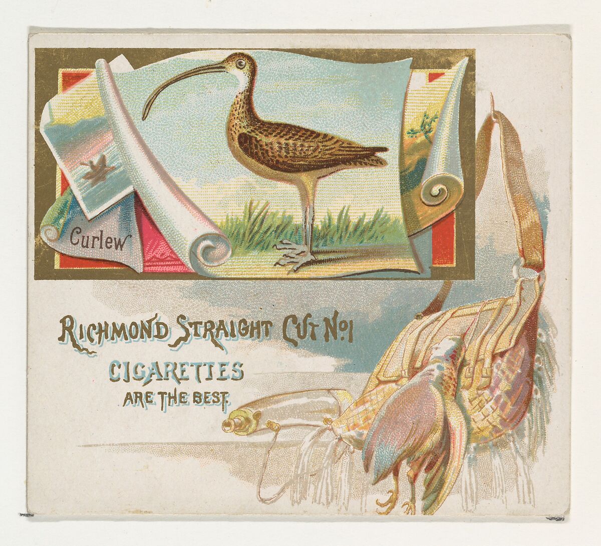Curlew, from the Game Birds series (N40) for Allen & Ginter Cigarettes, Issued by Allen &amp; Ginter (American, Richmond, Virginia), Commercial color lithograph 