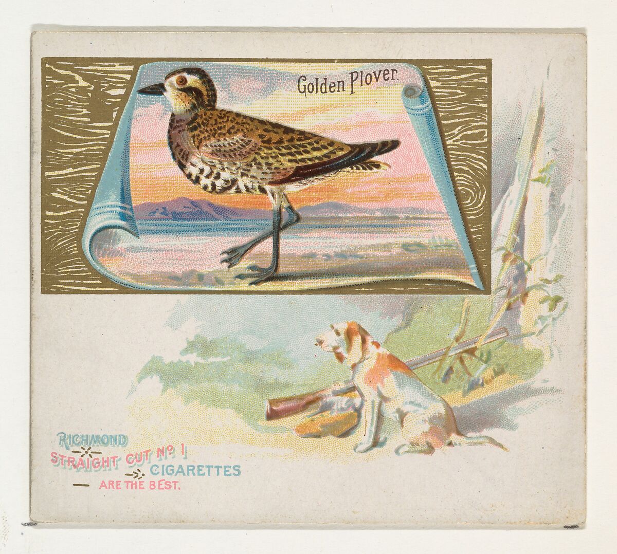 Golden Plover, from the Game Birds series (N40) for Allen & Ginter Cigarettes, Issued by Allen &amp; Ginter (American, Richmond, Virginia), Commercial color lithograph 