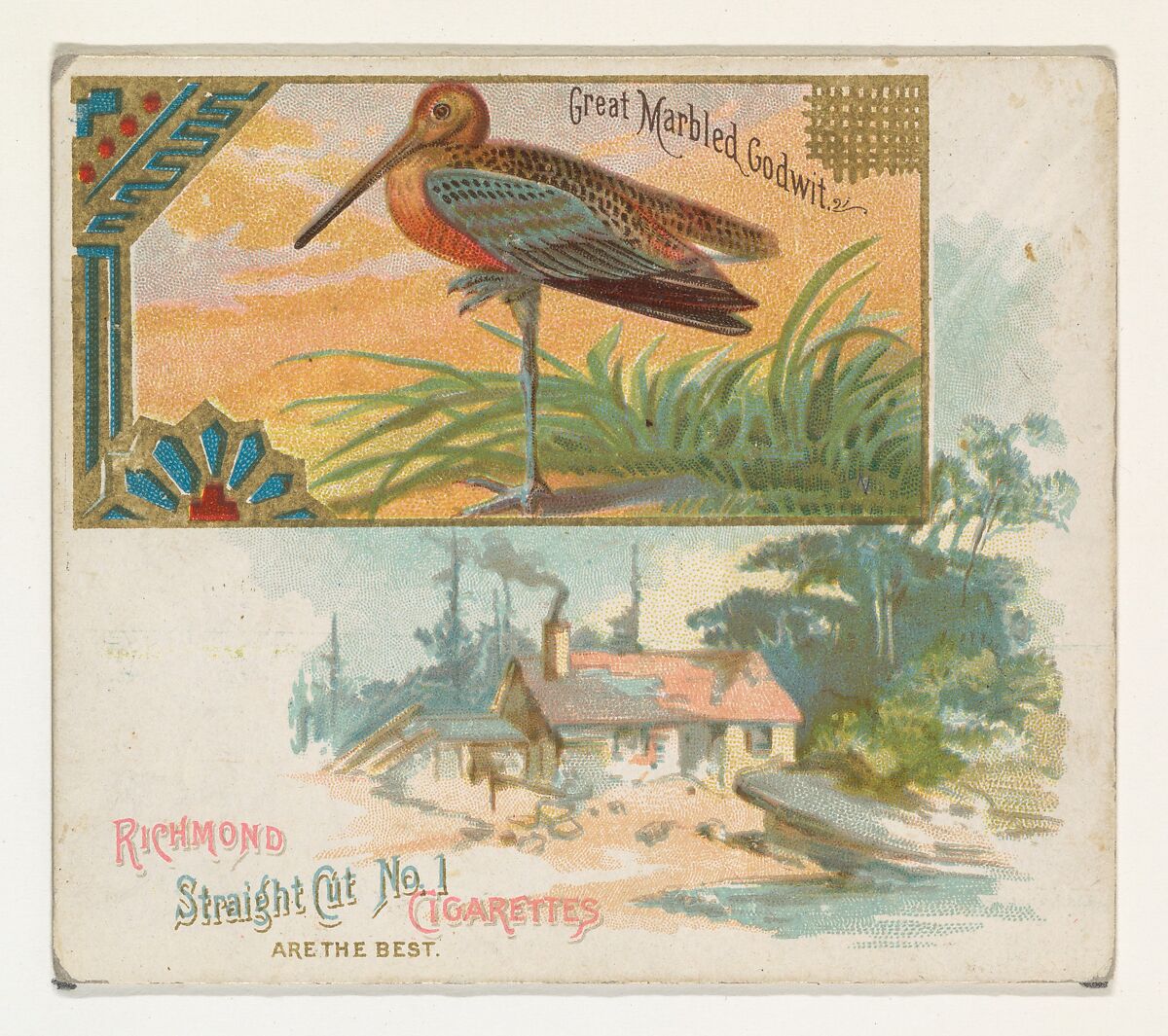 Great Marbled Godwit, from the Game Birds series (N40) for Allen & Ginter Cigarettes, Issued by Allen &amp; Ginter (American, Richmond, Virginia), Commercial color lithograph 