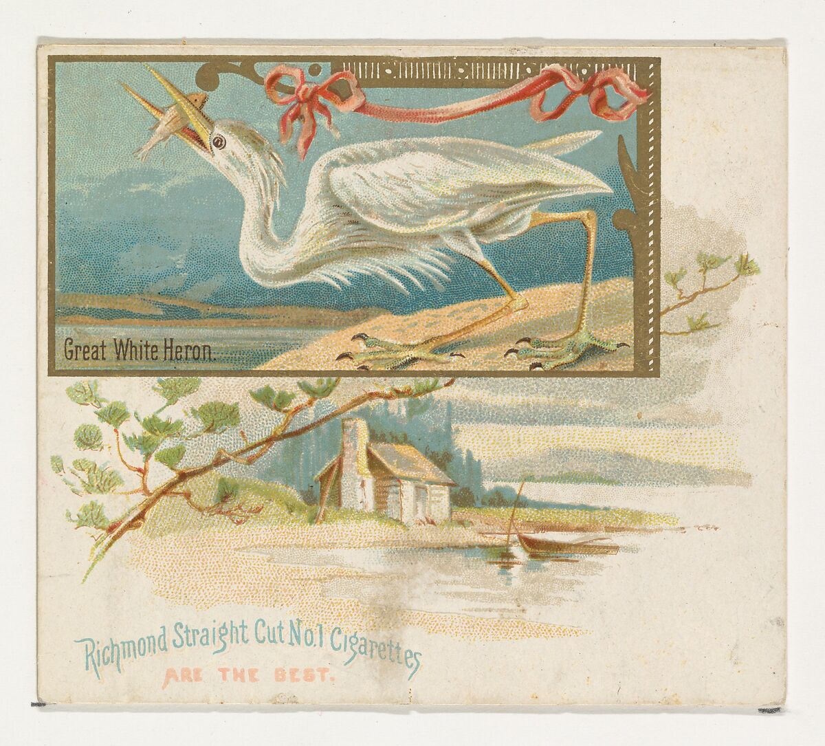 Great White Heron, from the Game Birds series (N40) for Allen & Ginter Cigarettes, Issued by Allen &amp; Ginter (American, Richmond, Virginia), Commercial color lithograph 