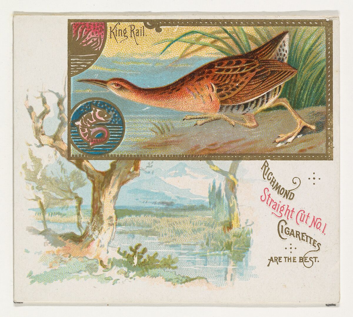 King Rail, from the Game Birds series (N40) for Allen & Ginter Cigarettes, Issued by Allen &amp; Ginter (American, Richmond, Virginia), Commercial color lithograph 