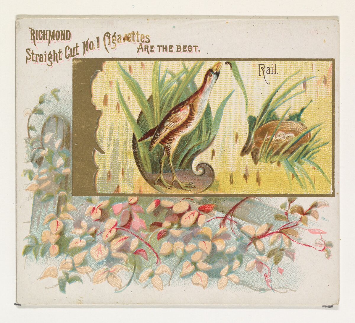 Rail, from the Game Birds series (N40) for Allen & Ginter Cigarettes, Issued by Allen &amp; Ginter (American, Richmond, Virginia), Commercial color lithograph 
