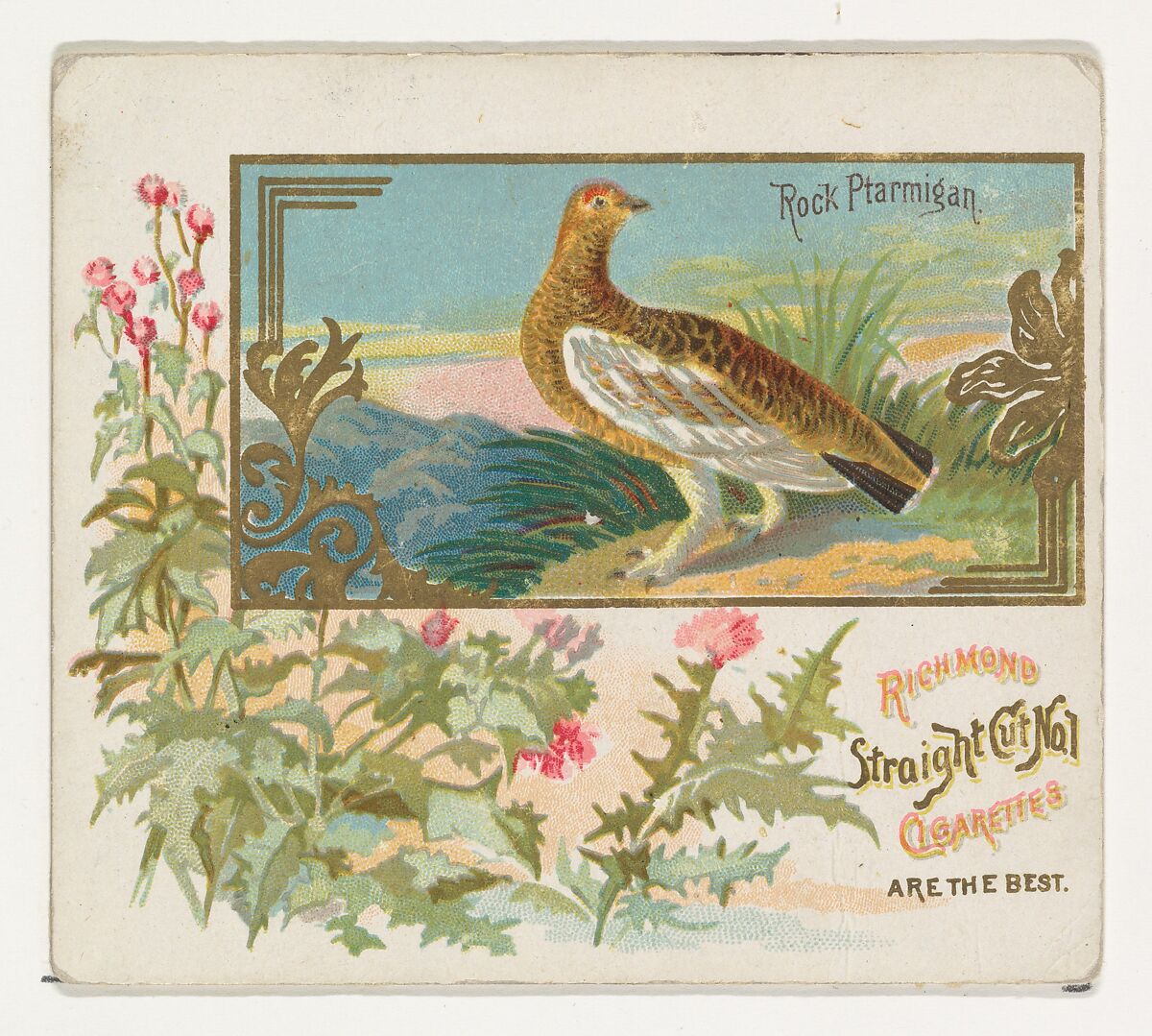 Rock Ptarmigan, from the Game Birds series (N40) for Allen & Ginter Cigarettes, Issued by Allen &amp; Ginter (American, Richmond, Virginia), Commercial color lithograph 