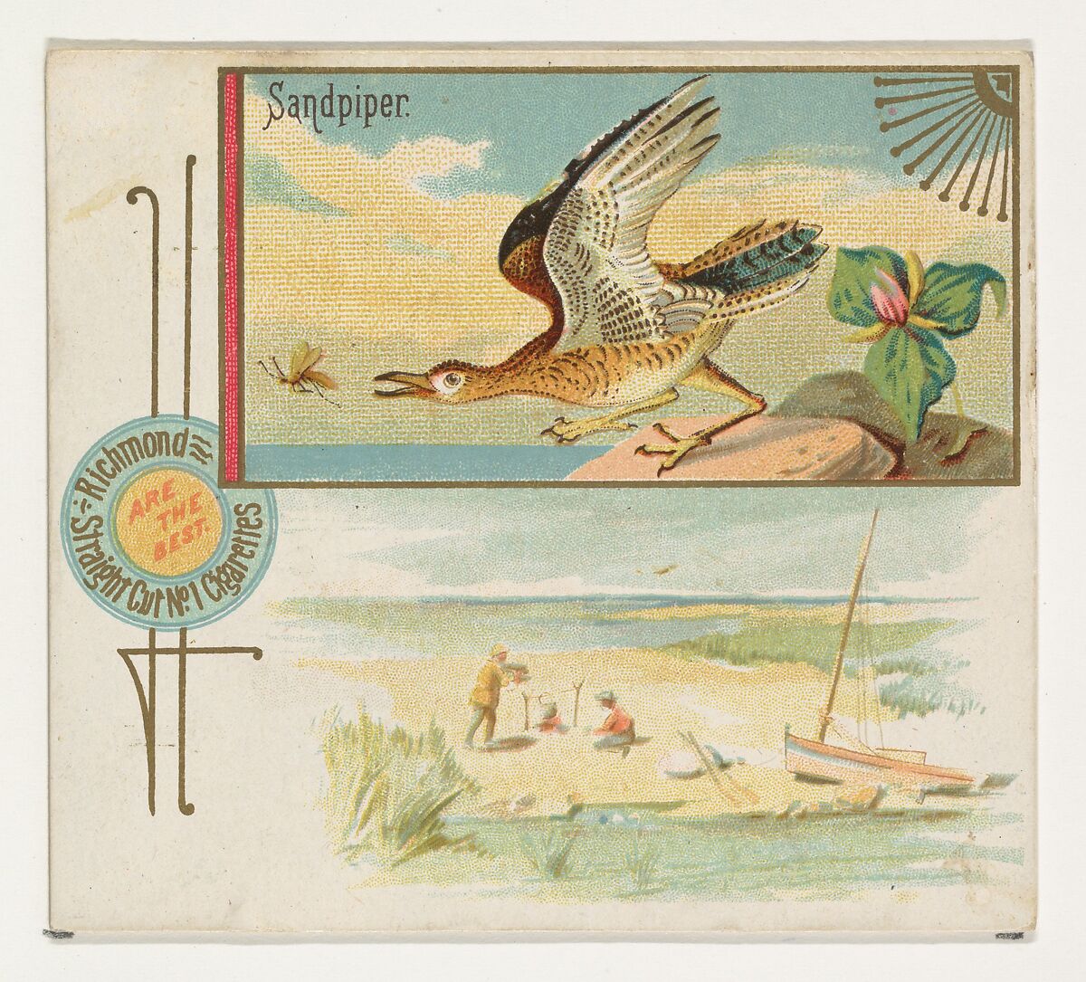 Sandpiper, from the Game Birds series (N40) for Allen & Ginter Cigarettes, Issued by Allen &amp; Ginter (American, Richmond, Virginia), Commercial color lithograph 