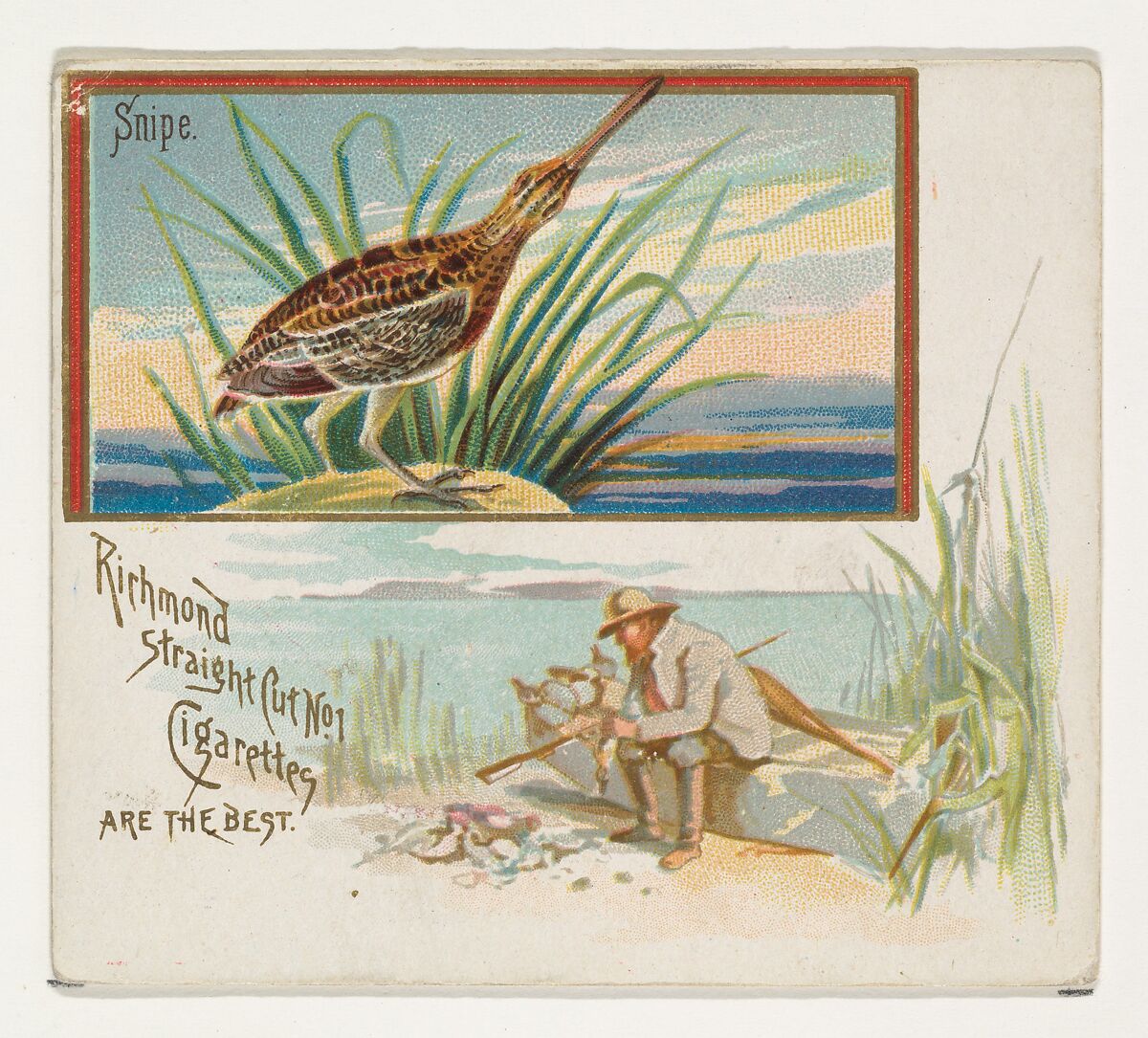 Snipe, from the Game Birds series (N40) for Allen & Ginter Cigarettes, Issued by Allen &amp; Ginter (American, Richmond, Virginia), Commercial color lithograph 